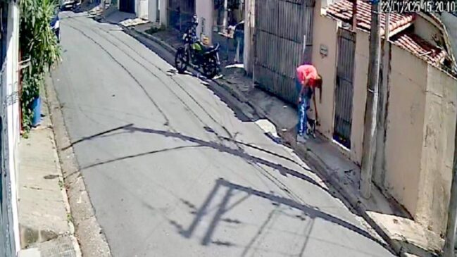 Nas imagens é possível ver o cantor atrair os gatos e na sequência agredi-los