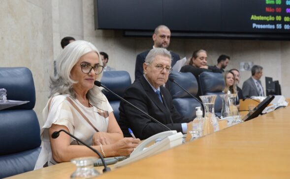 Sandra Santana tem base eleitoral na zona norte de São Paulo