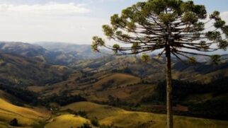 Senador Amaral, em Minas Gerais, se destaca por ser um destino pouco explorado pelos turistas