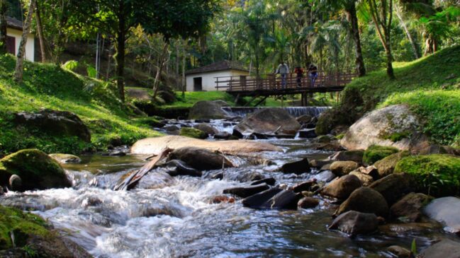 A cidade é eleita como a maior produtora de bananas e palmito pupunha de São Paulo.