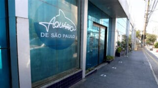 O Aquário de São Paulo é o maior da América Latina e abriga mais de 3 mil animais de 300 espécies diferentes