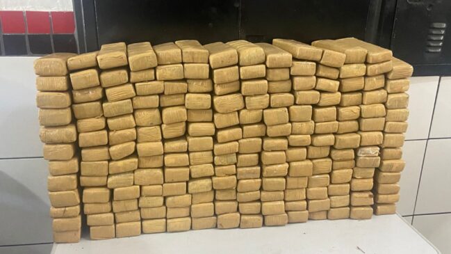 Polícia apreendeu 167 tijolos de maconha