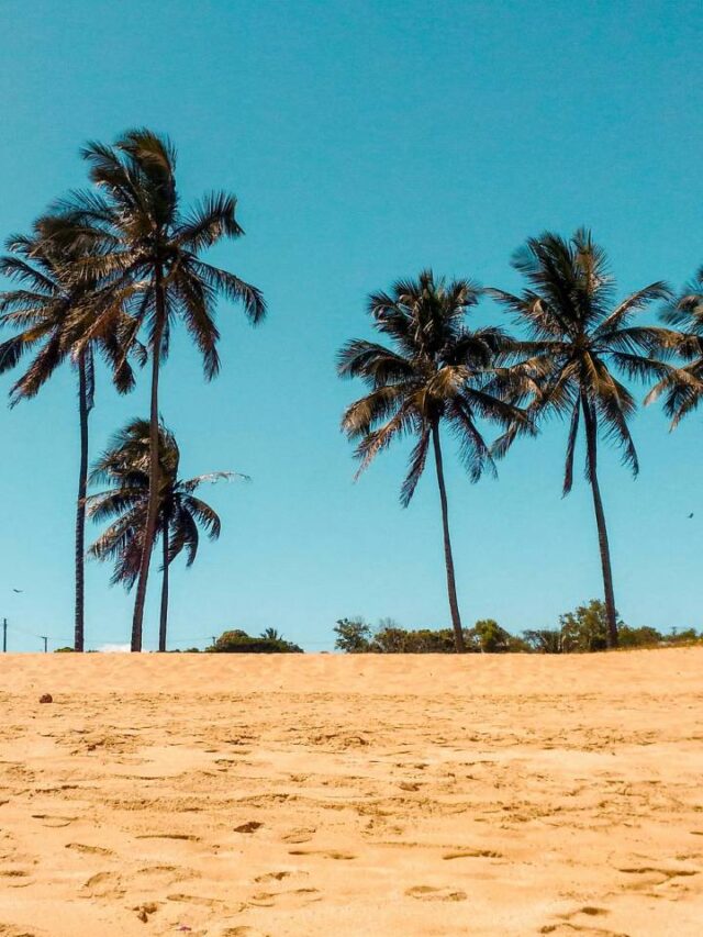 Cidade do interior de SP tem prainha artificial gratuita e pôr do sol imperdível