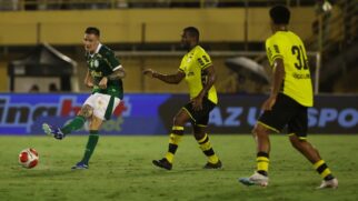 Palmeiras e São Bernardo se enfrentam, neste sábado, no Paulistão