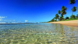 O litoral sul de Pernambuco, mais precisamente na cidade de Porto de Galinhas, abriga a praia de Muro Alto, que é considerada uma das 25 melhores praias do mundo
