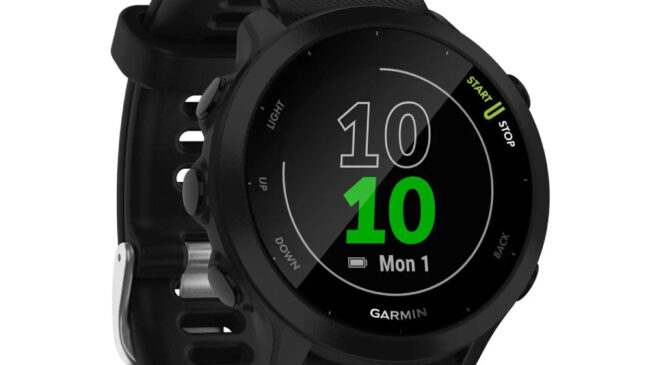 Smartwatch Garmin Forerunner 55 está à venda na Amazon