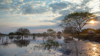 Pantanal é um destino interessante para viajar com crianças