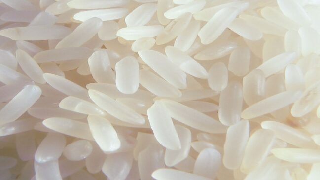A síndrome do arroz frito está relacionada a uma bactéria