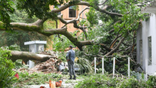 Após a tempestade do último dia 12/3, pelo menos 330 árvores caíram na cidade