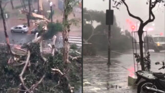 Segundo o Corpo de Bombeiros, 158 árvores foram derrubadas com as chuva