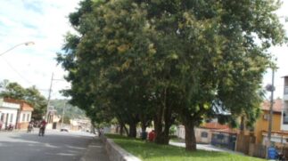 A cidade destaca-se pela economia dinâmica e pela qualidade de vida de seus moradores