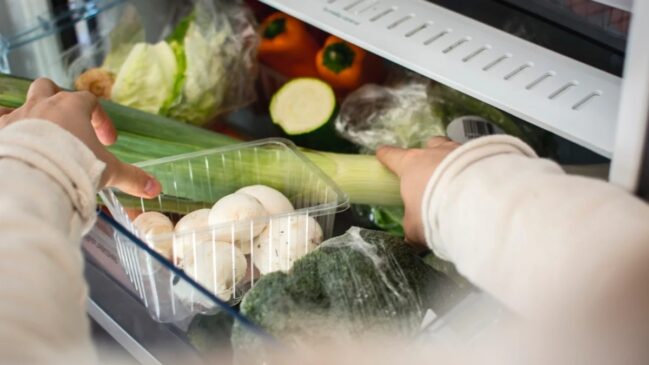 alimentos na geladeira estão mais seguros de bactérias e outros microorganismos. Imagem: Rawpixel