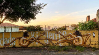 Grafites de Mauro Neri, o Veracidade, convidam a população a ter um novo olhar para a cidade