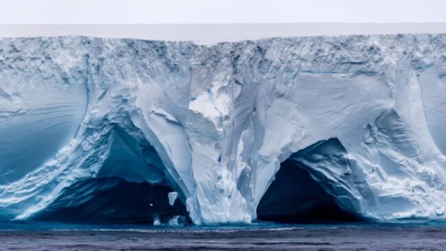 Iceberg está em uma ilha entre as Malvinas e as Sandwich do Sul
