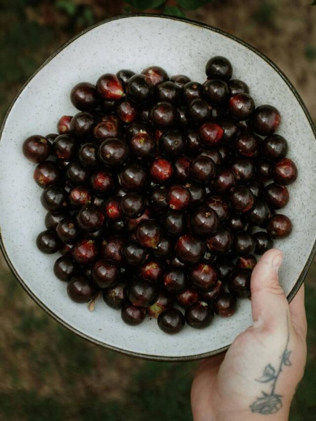 Uma das melhores frutas do mundo é brasileira; descubra