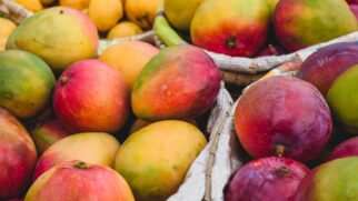 Estudo revelou que o consumo constante da fruta, conhecida por ser muito adocicada e calórica, na verdade, pode melhorar a sensibilidade à insulina