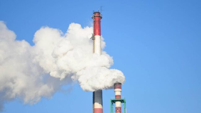 COP 30 pode ser uma virada de chave na construção de um futuro mais justo e sustentável