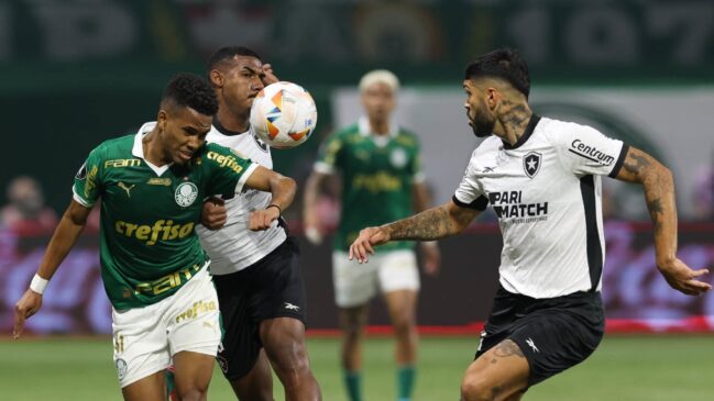 Palmeiras e Botafogo se enfrentam, neste domingo, no Brasileirão
