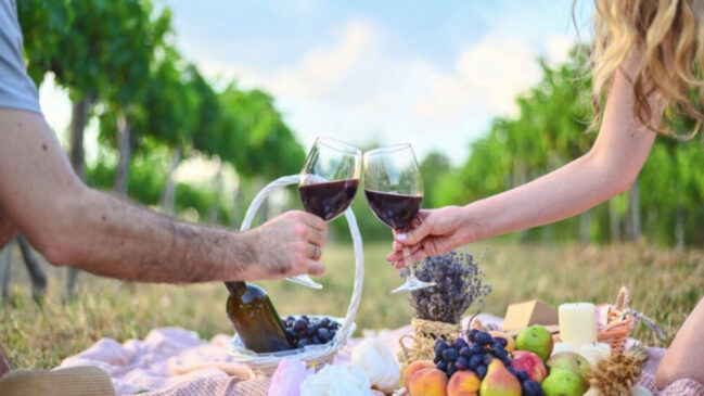 Além de provar vinhos, os visitantes podem passear pelos vinhedos e relaxar em um piquenique entre os parreirais.