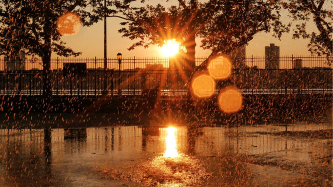 São Paulo possui uma média histórica de 66,7 mm de chuva em setembro