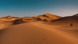 O deserto do Saara é o maior deserto quente do mundo