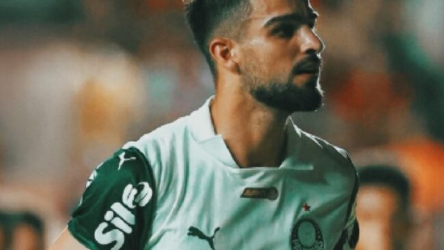 Em duelo válido pela segunda rodada do Campeonato Brasileiro, o Palmeiras visitou o Sport e venceu por 2 a 1