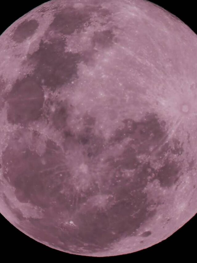 Chuva de meteoros, Lua Rosa e mais: veja eventos astronômicos de abril