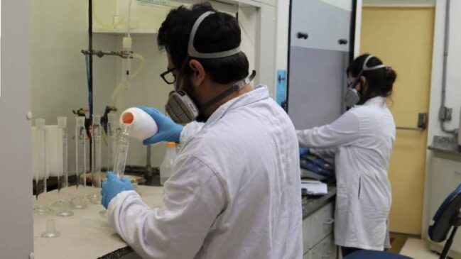 Equipe tenta identificar quais fontes de biomassa brasileira têm maior potencial para a produção do HVO