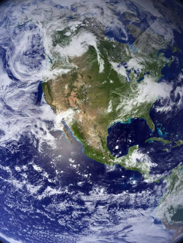 Nova extinção em massa já começou e pode ser pior da história