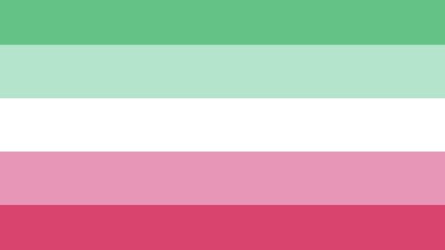bandeira com as cores verde, branco e rosa costuma representar os abrossexuais
