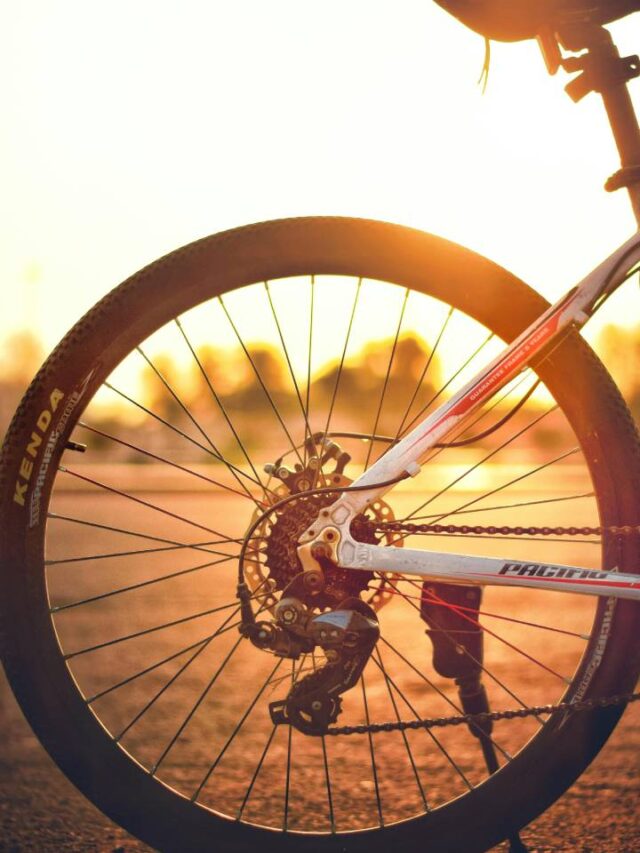 Cidade no interior de São Paulo tem mais bicicletas do que carros