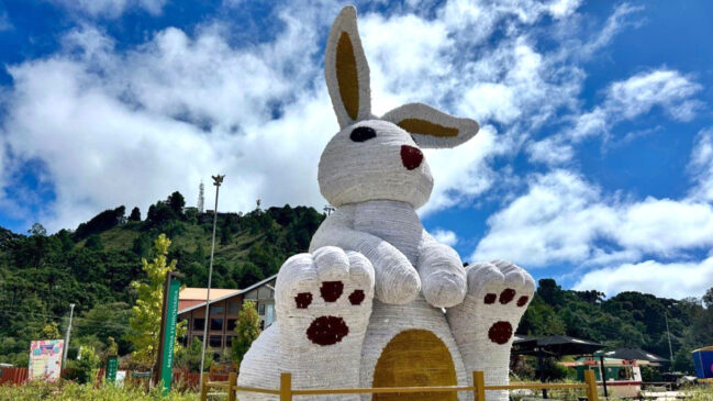 Um dos destaques é o coelho gigante, de quatro metros de altura, que fica iluminado à noite no Parque Capivari
