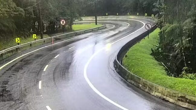 Segundo o parlamentar, animais também provocam riscos aos motoristas