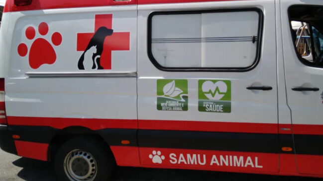Segundo lei publicada, veículo para transporte dos animais deverá ser equipado adequadamente