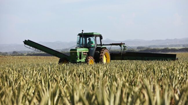 Setores da agropecuária e dos serviços atingiram patamares recordes no primeiro trimestre de 2025
