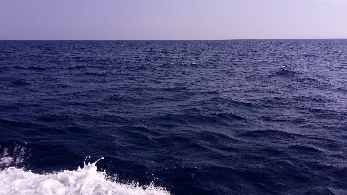 Com o CO2, oceanos ficam mais ácidos. Imagem: PxHere