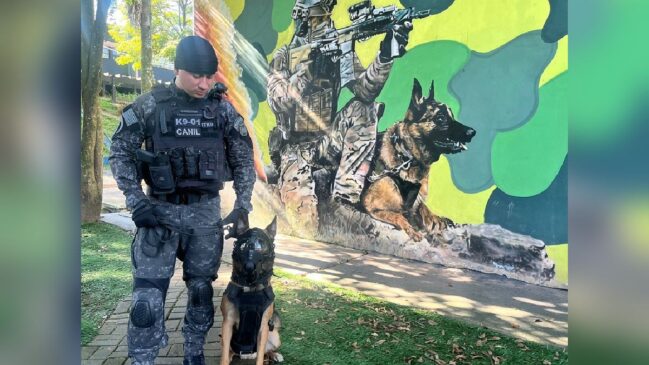 Coyote é o primeiro cão paraquedista da PMESP