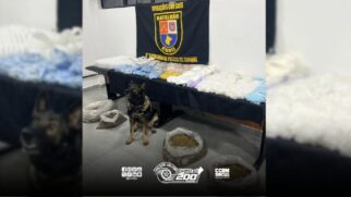 Ao todo, cerca de 39,6 kg de drogas foram apreendidas