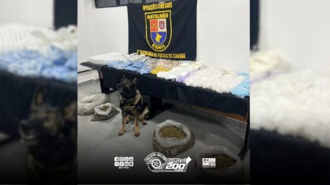 Ao todo, cerca de 39,6 kg de drogas foram apreendidas
