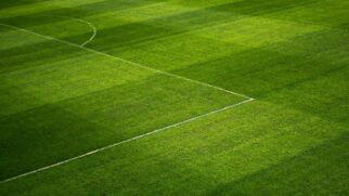 Recentemente, um grupo de atletas do futebol brasileiro se juntou em um movimento contrário aos jogos em gramados artificiais