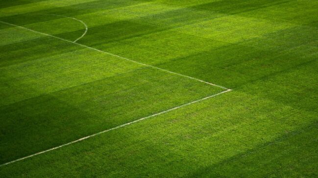 Recentemente, um grupo de atletas do futebol brasileiro se juntou em um movimento contrário aos jogos em gramados artificiais