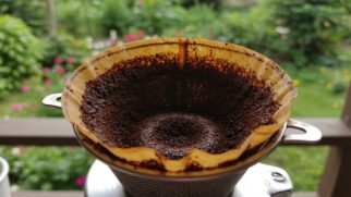 A borra de café tem efeitos surpreendentes na jardinagem