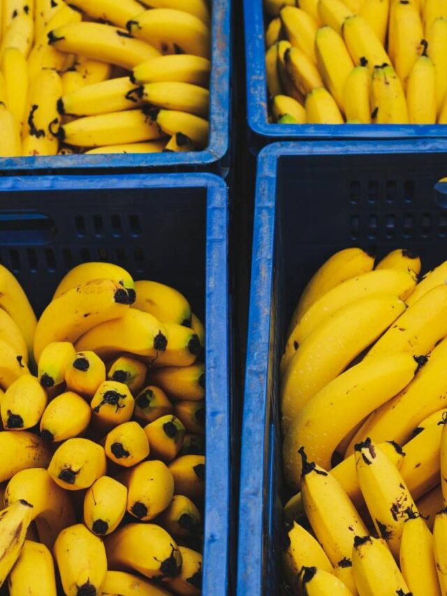 Essa dica simples vai fazer suas bananas durarem mais tempo