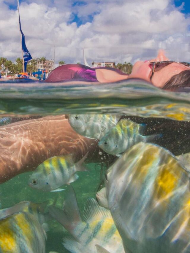 Paraíso no litoral brasileiro tem uma das melhores praias do mundo
