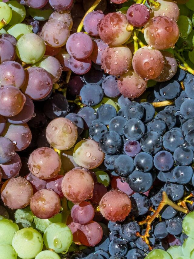 Saiba qual fruta combate colesterol ruim e previne perda de massa muscular