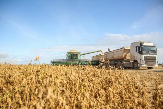 Dados divulgados pelo IBGE indicam que a agropecuária cresceu 12,2% no primeiro trimestre de 2025