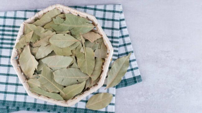 O louro tem efeitos antimicrobianos, antioxidantes e digestivos