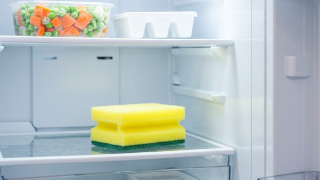 É prático e ecológico