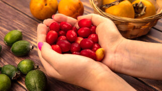 Uma fruta, considerada a mais doce do mundo, é capaz de transformar os alimentos amargos e ácidos em doces, enganando o seu paladar