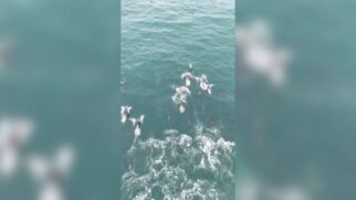 Autor dos vídeos foi Josimar dos Santos, conhecido por filmar as belezas naturais da região com seu drone